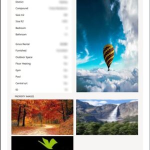 Client PDF of selected record
